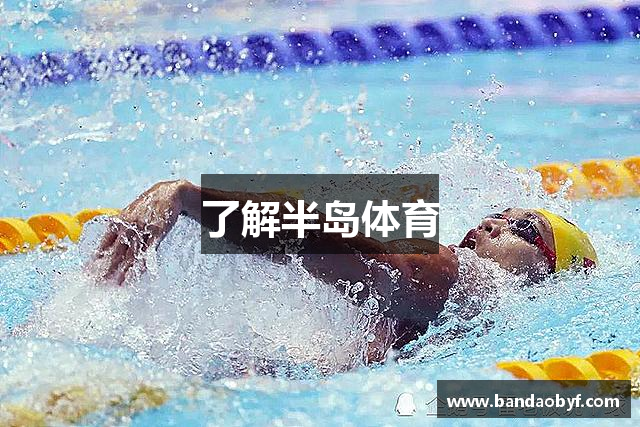 了解半岛体育